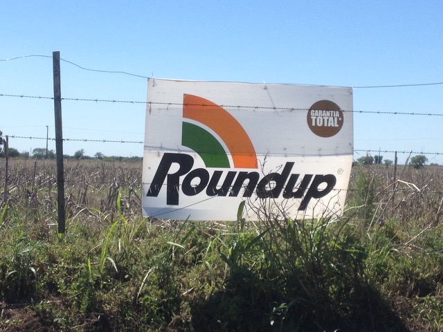 Roundup